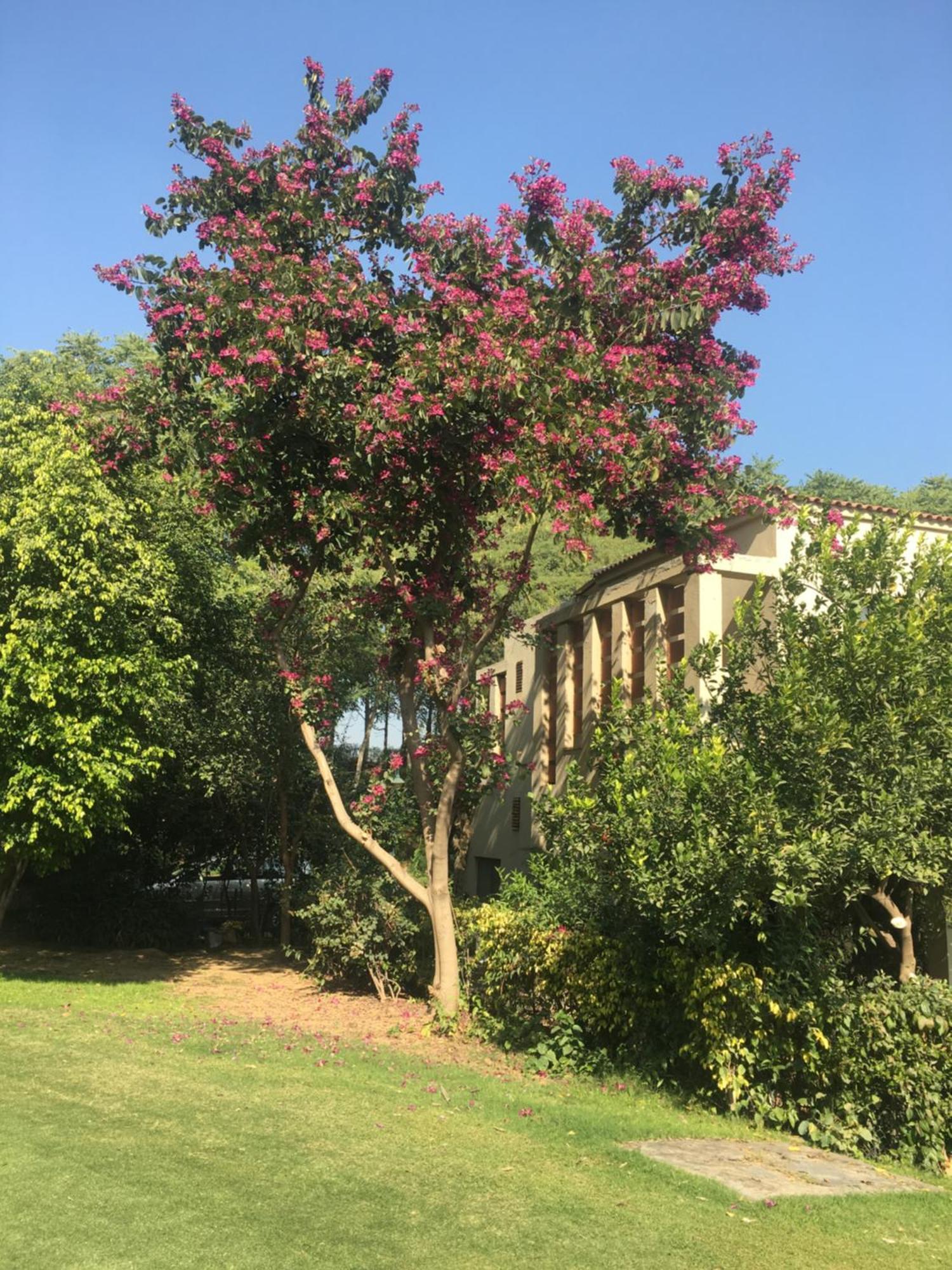 Villa At Tarudhan Valley Golf Resort 马尼萨 外观 照片
